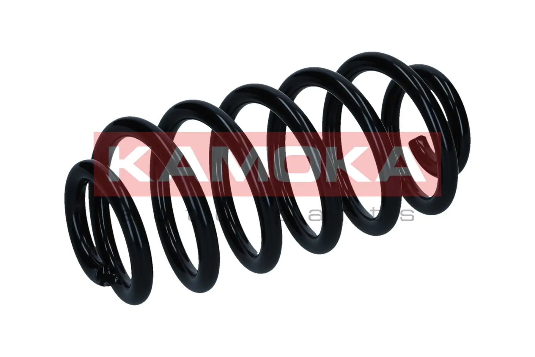 Suspension Spring 2120561