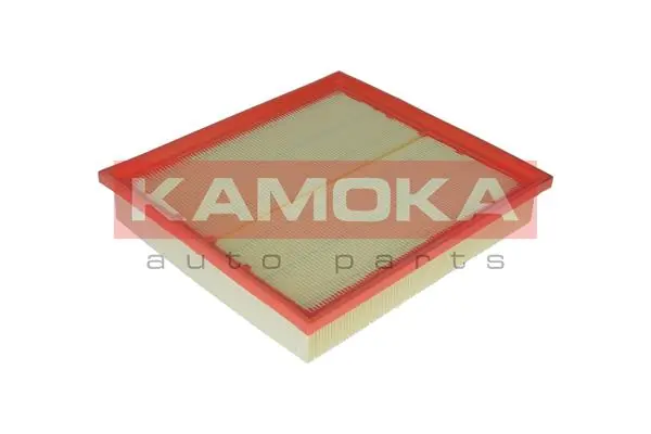 Air Filter F217801