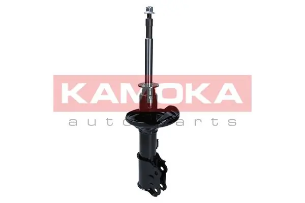 Shock Absorber 2001063