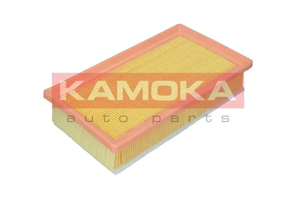 Air Filter F252101