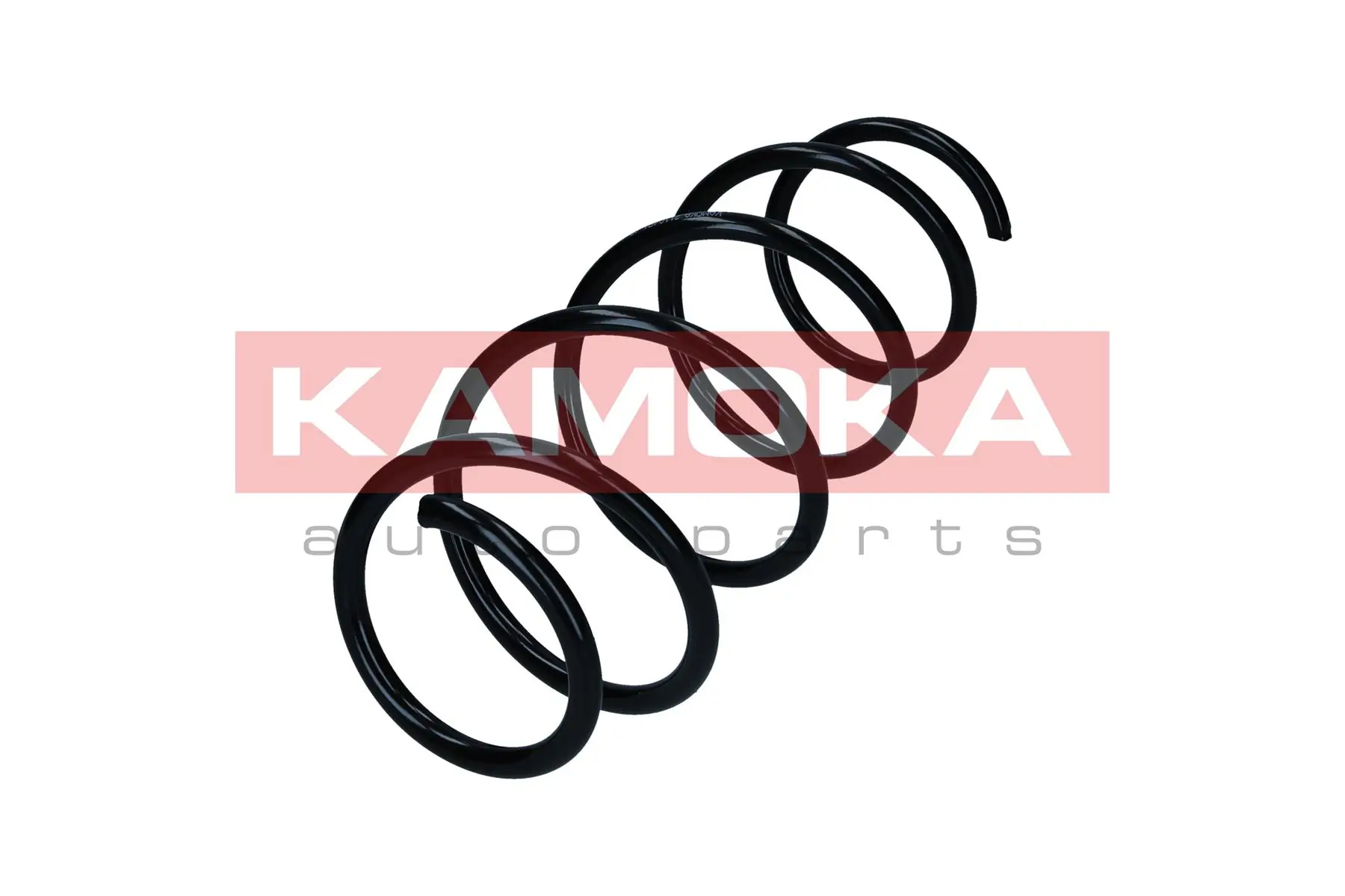 Suspension Spring 2110481