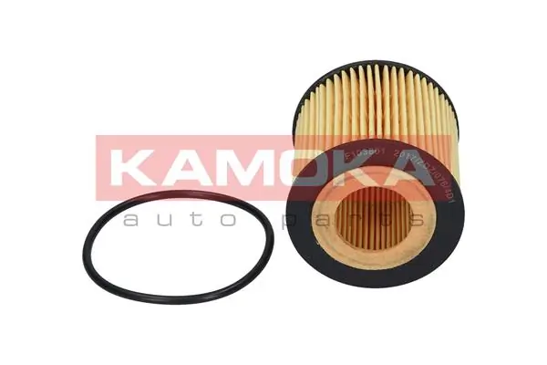 Oil Filter F103001