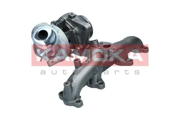 Charger, charging (supercharged/turbocharged) 8600011