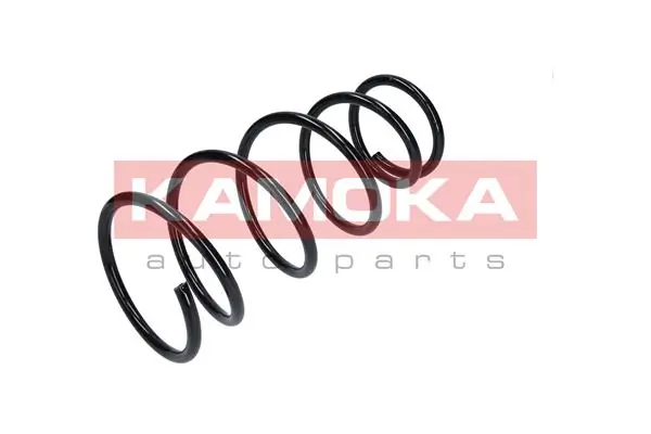 Suspension Spring 2120279