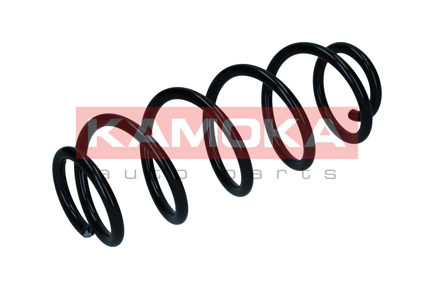 Suspension Spring 2120554