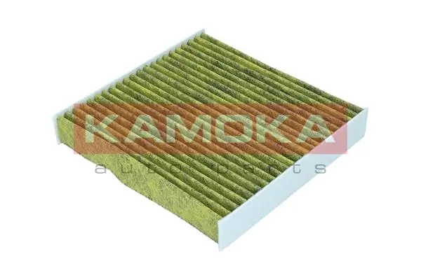 Filter, cabin air 6080076