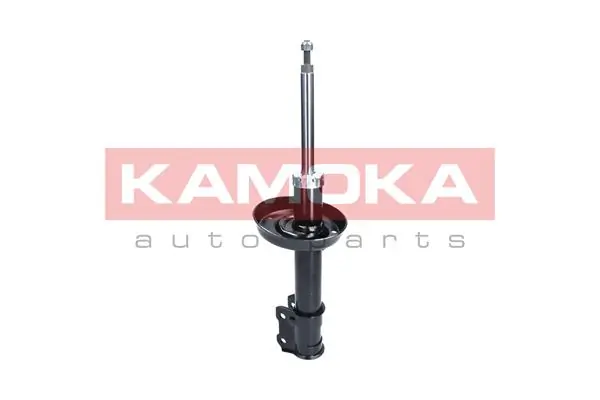Shock Absorber 2000297