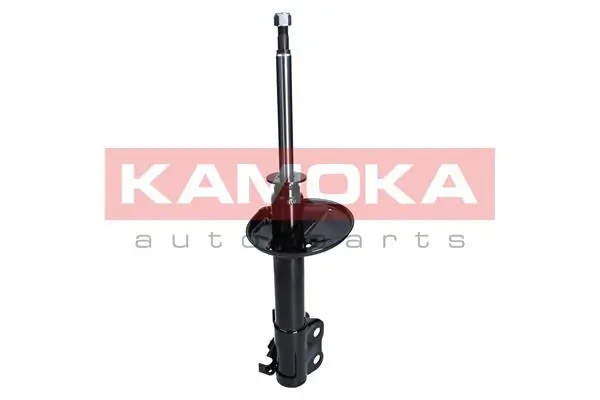 Shock Absorber 2000163