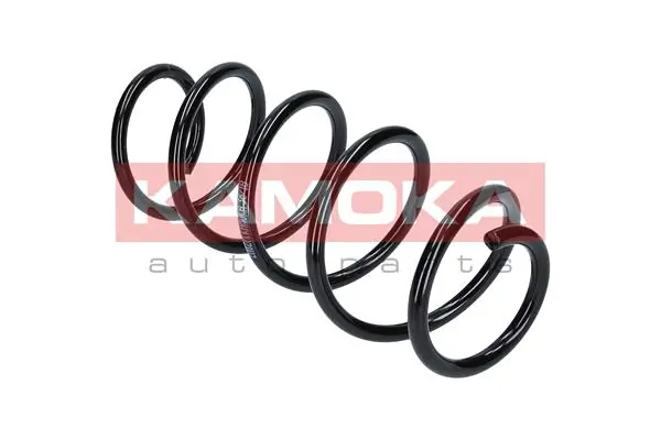 Suspension Spring 2110271