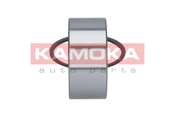 Wheel Bearing Kit 5600081