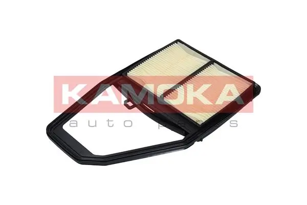 Air Filter F225701