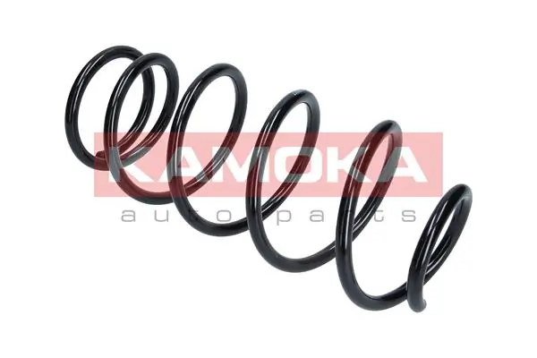 Suspension Spring 2110299