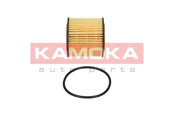 Oil Filter F103801