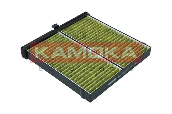 Filter, cabin air 6080141