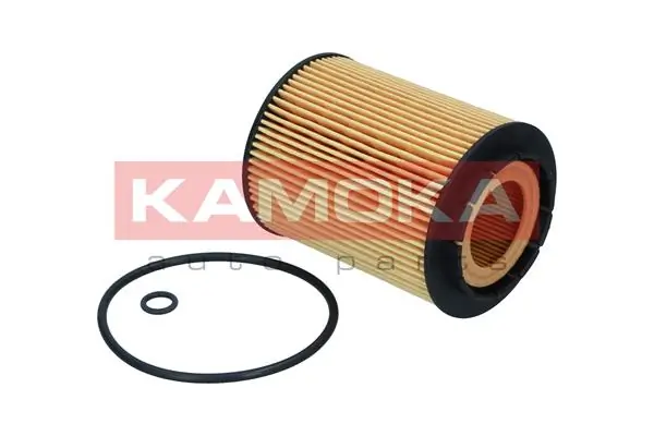 Oil Filter F129501