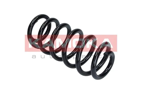 Suspension Spring 2110350