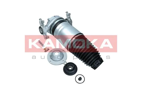 Air Spring, suspension 2079013