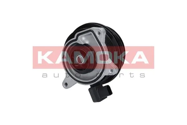 Water Pump, engine cooling T0278