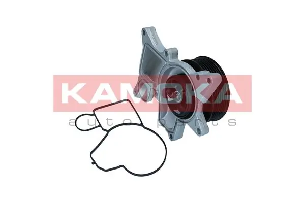 Water Pump, engine cooling T0298