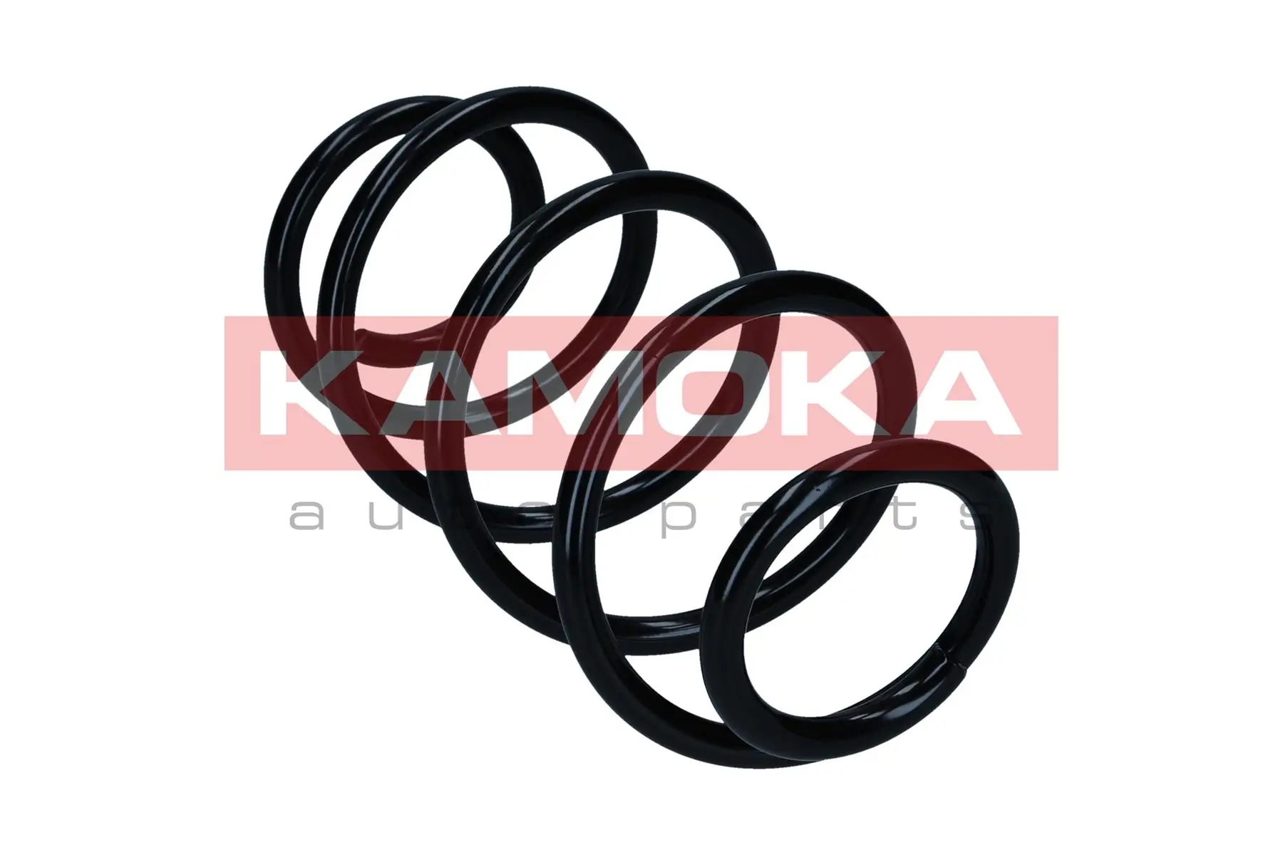 Suspension Spring 2120513