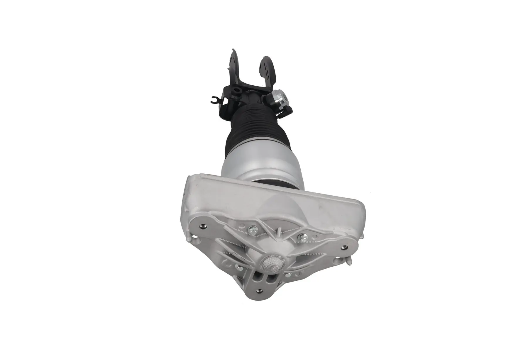 Air Suspension Strut 2070126