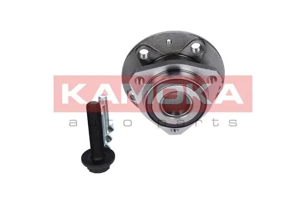 Wheel Bearing Kit 5500066