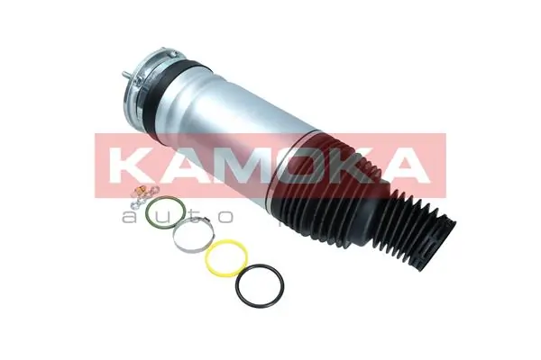 Air Spring, suspension 2079034