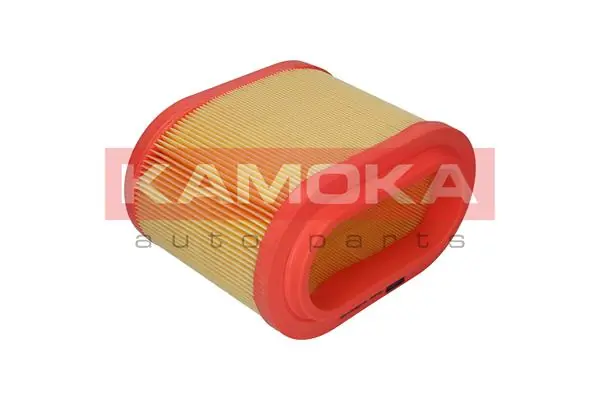 Air Filter F219901