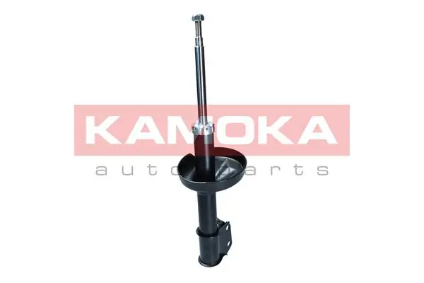 Shock Absorber 2001151