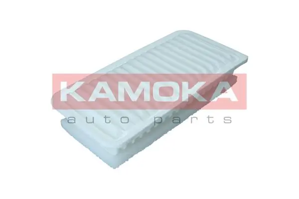 Air Filter F248601
