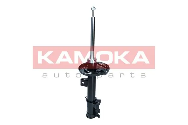 Shock Absorber 2001076
