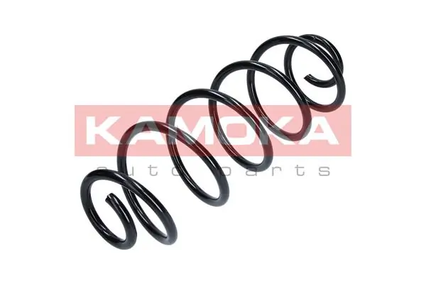 Suspension Spring 2120128