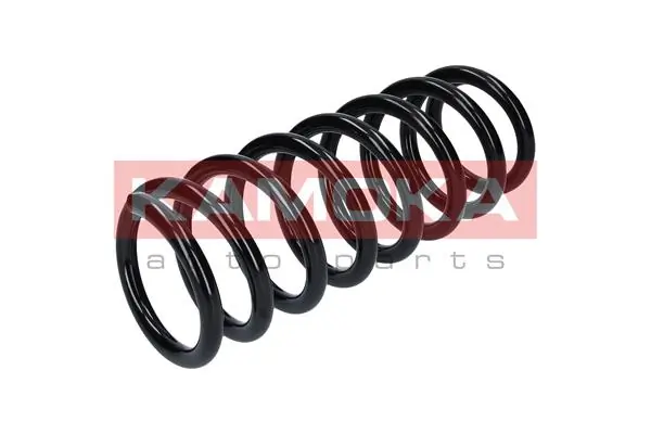 Suspension Spring 2120110