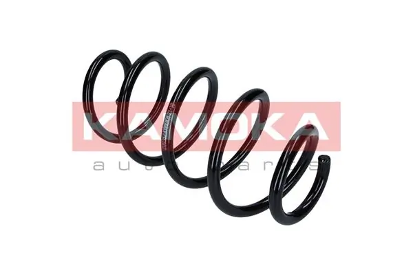 Suspension Spring 2110352