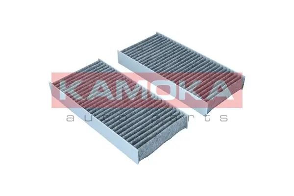 Filter, cabin air F521501