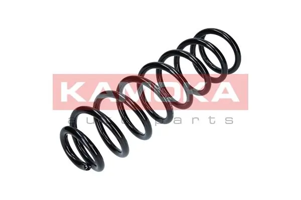 Suspension Spring 2110186