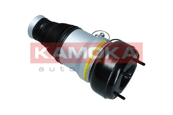 Air Spring, suspension 2079056