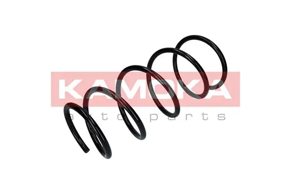 Suspension Spring 2110322