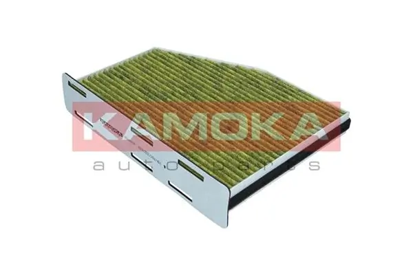 Filter, cabin air 6080041