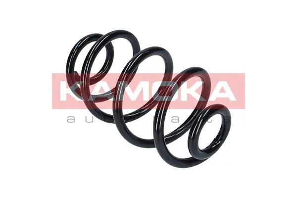 Suspension Spring 2120311