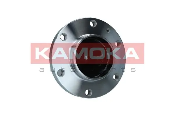 Wheel Bearing Kit 5500308