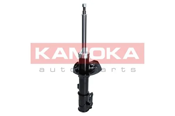 Shock Absorber 2000245