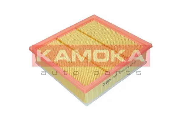 Air Filter F243901