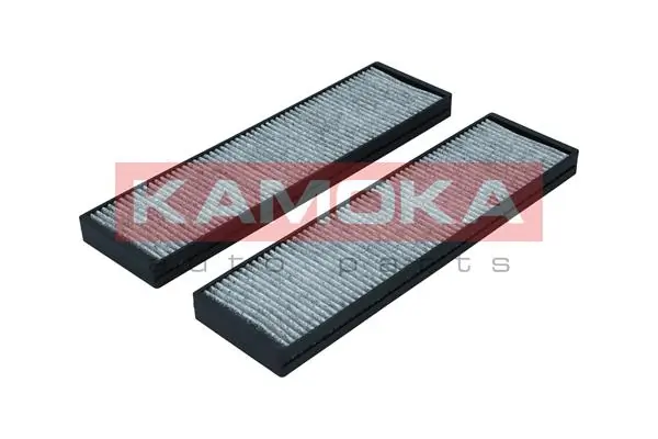 Filter, cabin air F516901