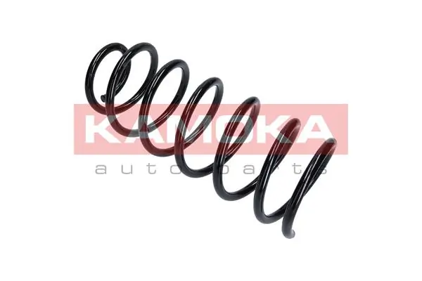 Suspension Spring 2110267