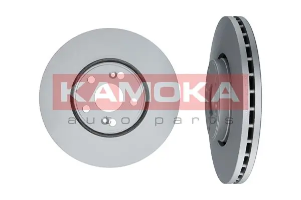 Brake Disc 1031018