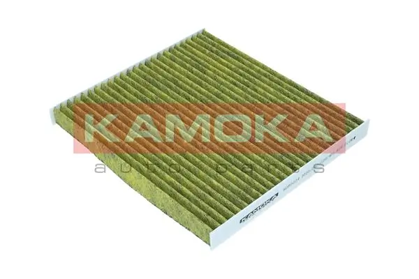 Filter, cabin air 6080024