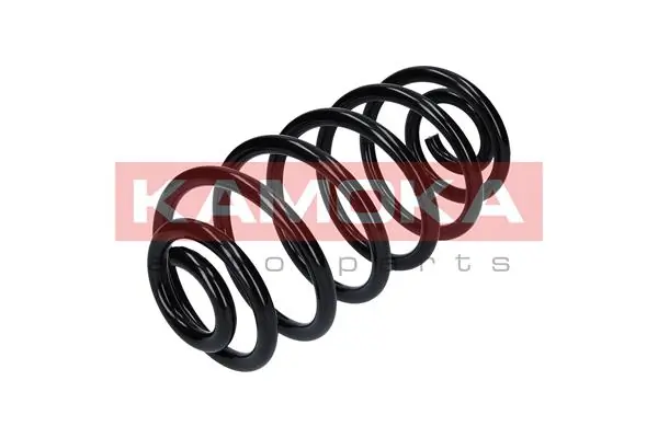 Suspension Spring 2120187