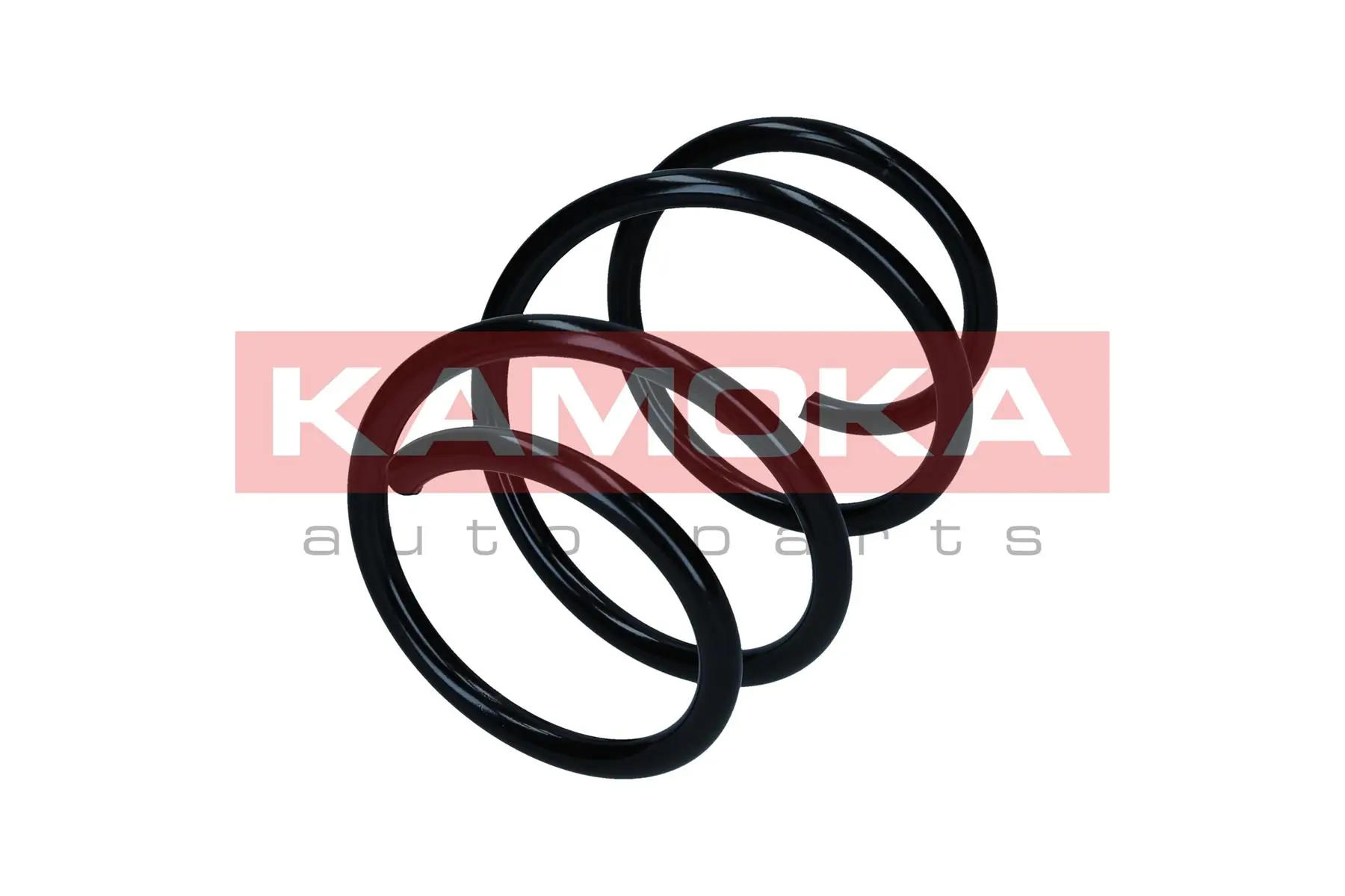 Suspension Spring 2110637