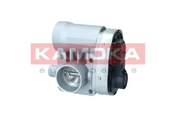 Throttle Body 112055